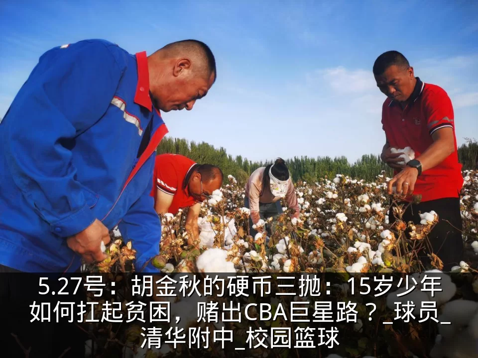 5.27号：胡金秋的硬币三抛：15岁少年如何扛起贫困，赌出CBA巨星路？_球员_清华附中_校园篮球